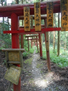 So many things on this pilgrimage were lost on me (like the meaning of these red wooden gates), and I am determined to return to the walk at some point in my future with much better Japanese!