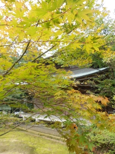 The first signs of fall at temple 65 Sankakuji. 